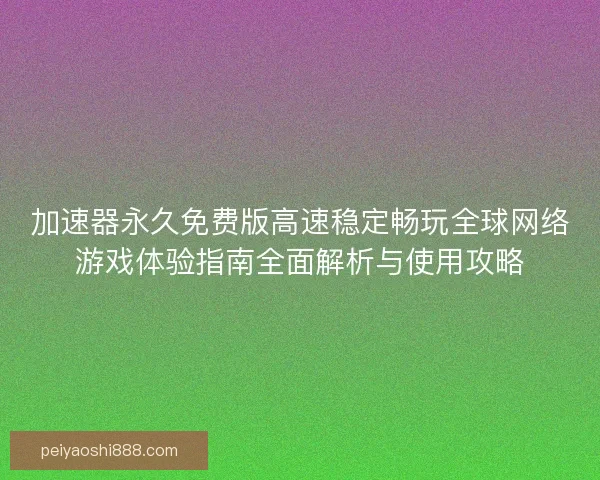 加速器永久免费版高速稳定畅玩全球网络游戏体验指南全面解析与使用攻略