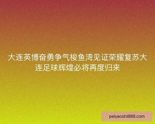 大连英博奋勇争气梭鱼湾见证荣耀复苏大连足球辉煌必将再度归来