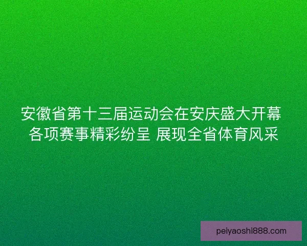 安徽省第十三届运动会在安庆盛大开幕 各项赛事精彩纷呈 展现全省体育风采