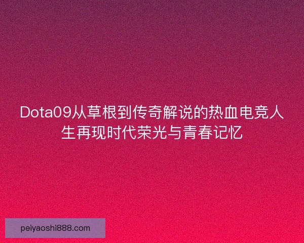 Dota09从草根到传奇解说的热血电竞人生再现时代荣光与青春记忆 Dota09从草根到传奇解说的热血电竞人生再现时代荣光与青春记忆