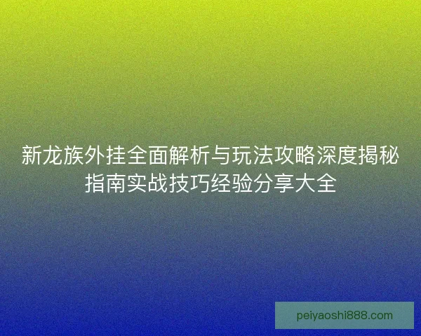 新龙族外挂全面解析与玩法攻略深度揭秘指南实战技巧经验分享大全